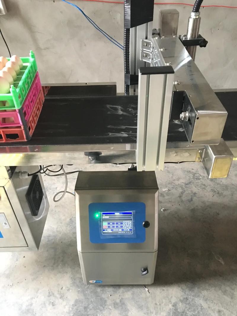 怎么样在鸡蛋上面打码? 怎么样在鸡蛋上面打码?